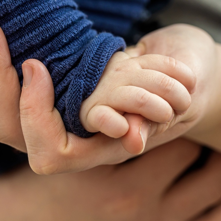 Småbarns hand i vuxens. Foto: Myriams-Fotos från Pixabay.