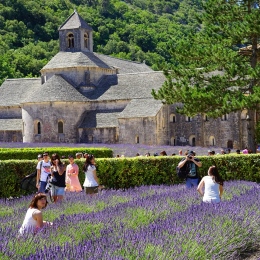 Lavender field next to old stone church. Photo: Hans Braxmeier from Pixabay.