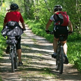 Två cyklister på skogsväg. Foto: Manfred Antranias Zimmer från Pixabay.