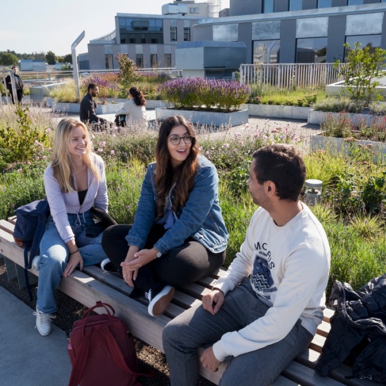 Students on the Albano terrace. Photo: Jens Olof Lasthein