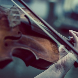 Close-up of violin being played. Photo: Niek Verlaan from Pixabay.