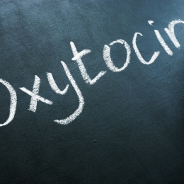 Oxytocin skrivet med krita på svarta tavlan. Foto: iStock